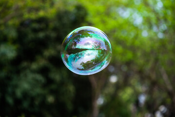 Soap bubble floating close-up view with trees in the background