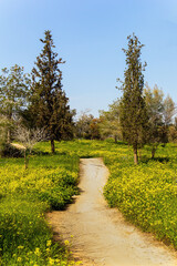 Fototapeta na wymiar Kibbutz Beeri in the Israel.