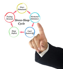 Five Components of Stress-Sleep Cycle