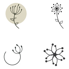 Dandelion flower logo and symbol design vector illustration template