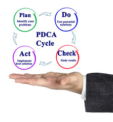 Plan Do Check Act cycle