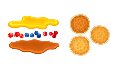 Tasty pancakes, maple syrup, honey and berry topping set vector illustration