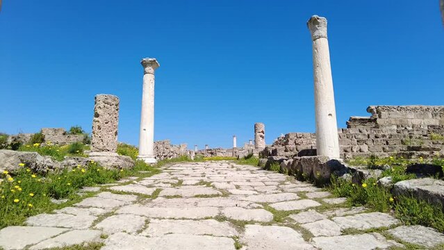 Salamis is an ancient Greek city-state on the east coast of Cyprus, at the mouth of the river Pedieos, 6 km north of modern Famagusta. 