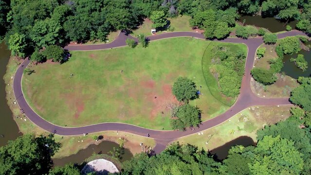 Ribeir&atilde;o Preto S&atilde;o Paulo Brazil - Circa March, 2022: Park nicknamed curupira, Parque Prefeito Luiz Roberto J&aacute;bali, seen from above via drone. aerial view