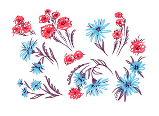 Set flower and leave on watercolor blot. Provence illustration. Tulip flower