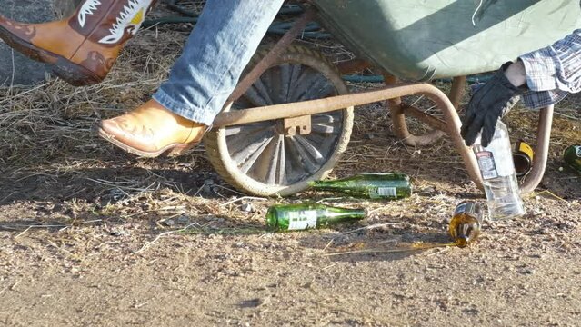 Drunken cowboy passed out in wheel barrow