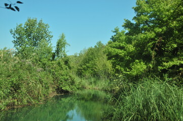 Fototapeta na wymiar water with trees, river in nature, lake nature trees, nature landscape with trees and lake