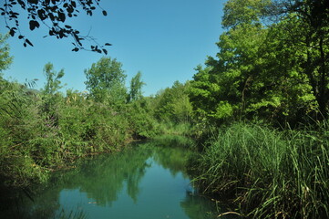 Fototapeta na wymiar water with trees, river in nature, lake nature trees, nature landscape with trees and lake