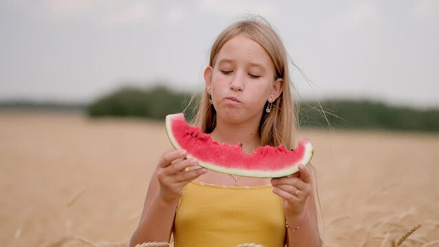 Cute girl eating juicy watermelon standing in wheat field on sunny summer day. Child eats a delicious watermelon, summer lifestyle. Kid emotion at summer vacation.