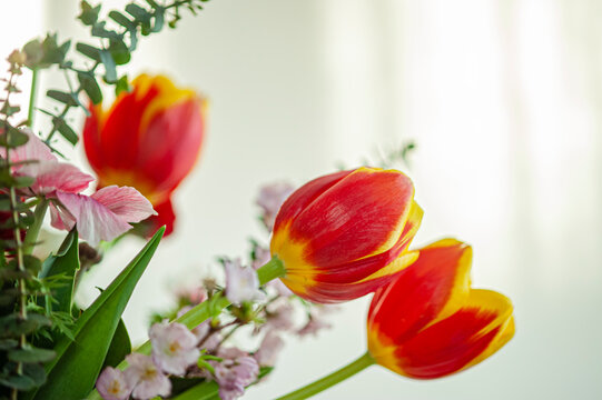 3 tulipani rossi e gialli