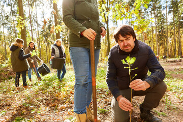 Forester with seedling in the forest in the tree determination