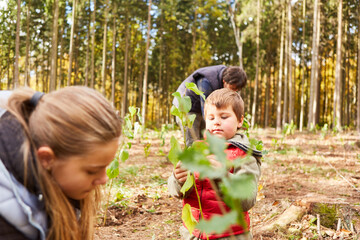 Children from the forest day-care center help plant trees in the forest