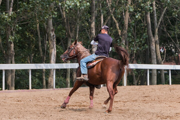 horse farm, young rider on horseback.  Horseback riding at the ranch.