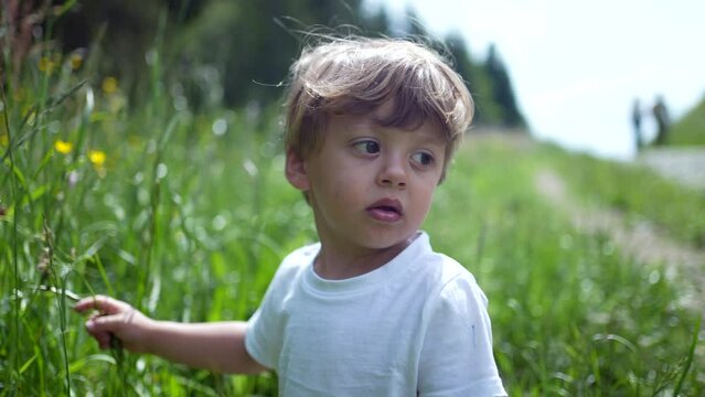 One thoughtful little boy standing outside on green grass nature