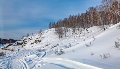 Fototapeta na wymiar Winter landscape with birch trees on the mountain bank of the river, snow and blue sky with clouds