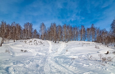 Winter landscape with birch trees on the mountain bank of the river, snow and blue sky with clouds