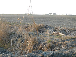 Fototapeta premium in campagna nel mese di ottobre