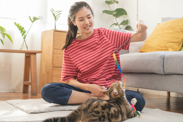 Recreation, beautiful owner kitten asian young woman, girl happy face in free time in casual...