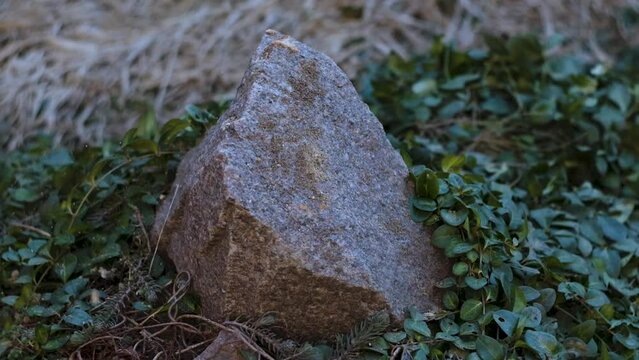 Brick falls and collapses. Slow motion video. Destruction