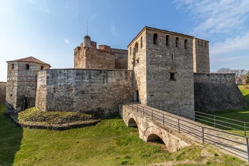 The preserved medieval fortress Baba Vida © nikolay100