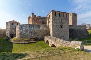 The preserved medieval fortress Baba Vida © nikolay100