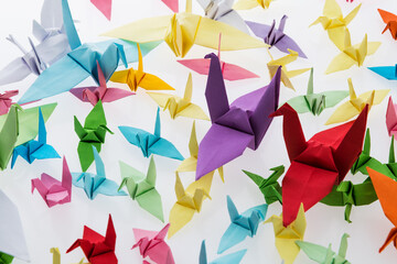 Colorful origami cranes on white background