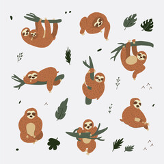 Sloth South America animal vector illustrations set © GooseFrol