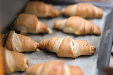baking pastry, ready fresh bagels or croissants on metallic baking sheet in oven. home baking concept. easy to prepare food.