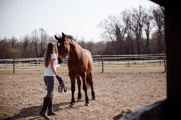 Majestic brown horse gets a treats of feeding from young woman trainer's hand on a ranch in...