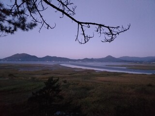 suncheon bay