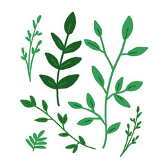 Green Leaf Vector Illustrations