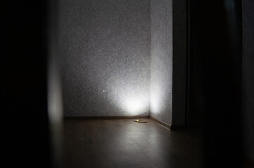 a wall lit by a phone flashlight is reflected in the whole room light