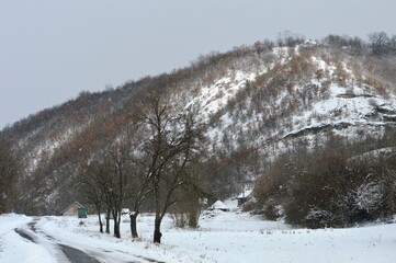 winter landscape in the snow