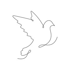 Dove continuous one line drawing. Flying linear bird. Doodle hand drawn style. Vector isolated on white.