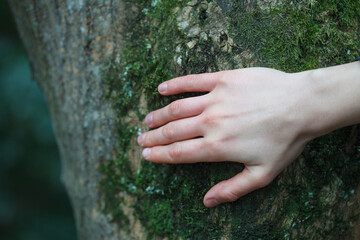 Young woman's hand touching old moss tree bark, love and care nature, World environment day