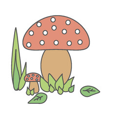 mushroom