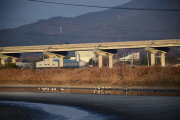 Obraz premium suncheon bay