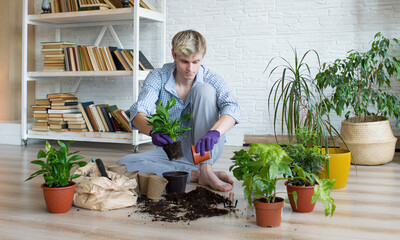 An attractive young man caring for domestic plants, transplants flowers, pours earth into flower...