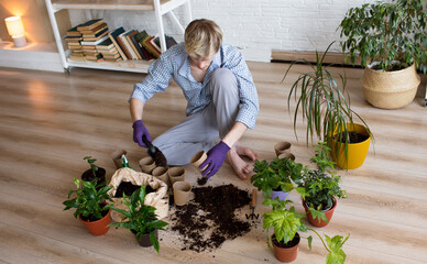 An attractive young man caring for domestic plants, transplants flowers, pours earth into flower pots.