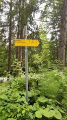 schild