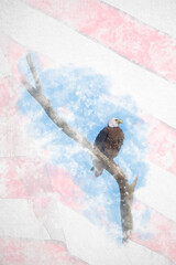 Watercolour painting of Portrait of American bald eagle with USA American flag