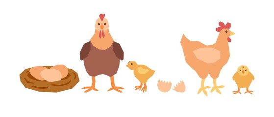 A set of two mother chickens, two yellow chicks and a nest of eggs. Vector illustration in flat style.