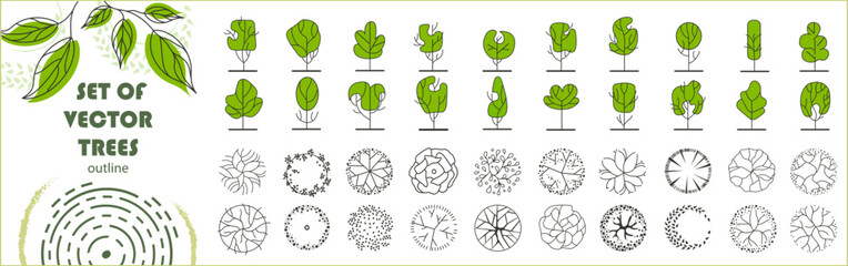 Set of vector trees. Entourage design for the plan. Various trees, bushes, and shrubs, top view for the landscape design plan. Vector illustration.