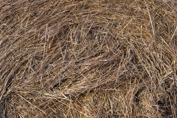 Background of dry pressed hay