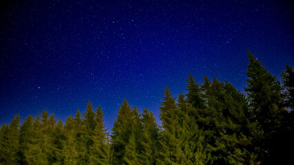 Fototapeta na wymiar A lovely starry night over Vitosha mountain near Sofia, Bulgaria