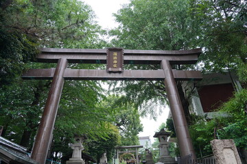 Fototapeta premium 新宿諏訪神社 鳥居