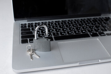 Concept of internet data base security system. Using laptop safety and privacy. Development of...