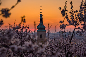 View over Prague skyline from Petrin hill at spring. Petrin hill at sunrise.
