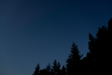 Starry night sky in the forest. Night in the mountains. night silhouette