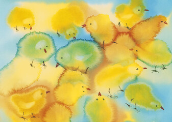 Yellow chickens on a blue watercolor background - 495973648